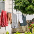 Rocksattel/Unterrock und Unterhose