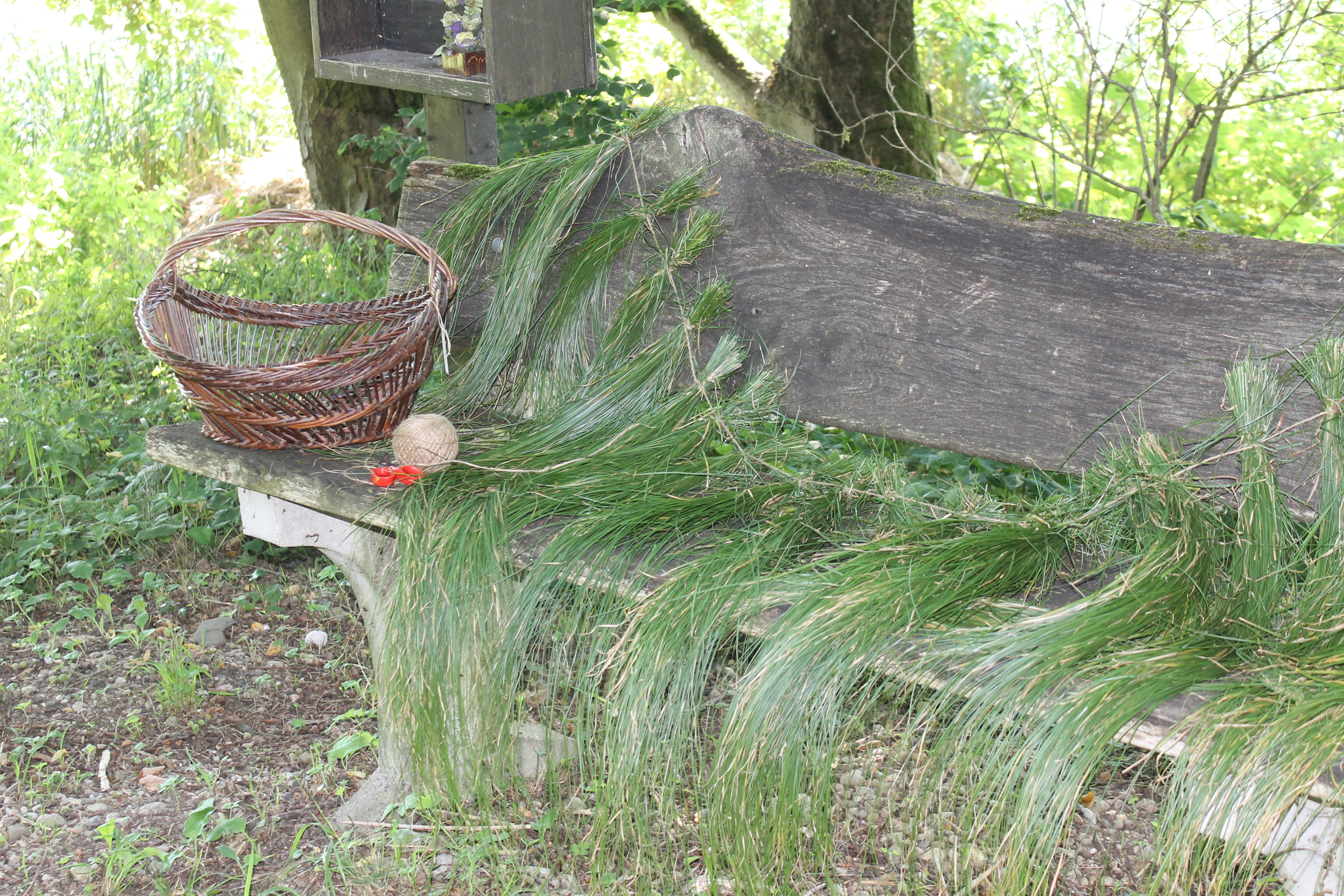 gebündeltes Seegras auf einer Holzbank